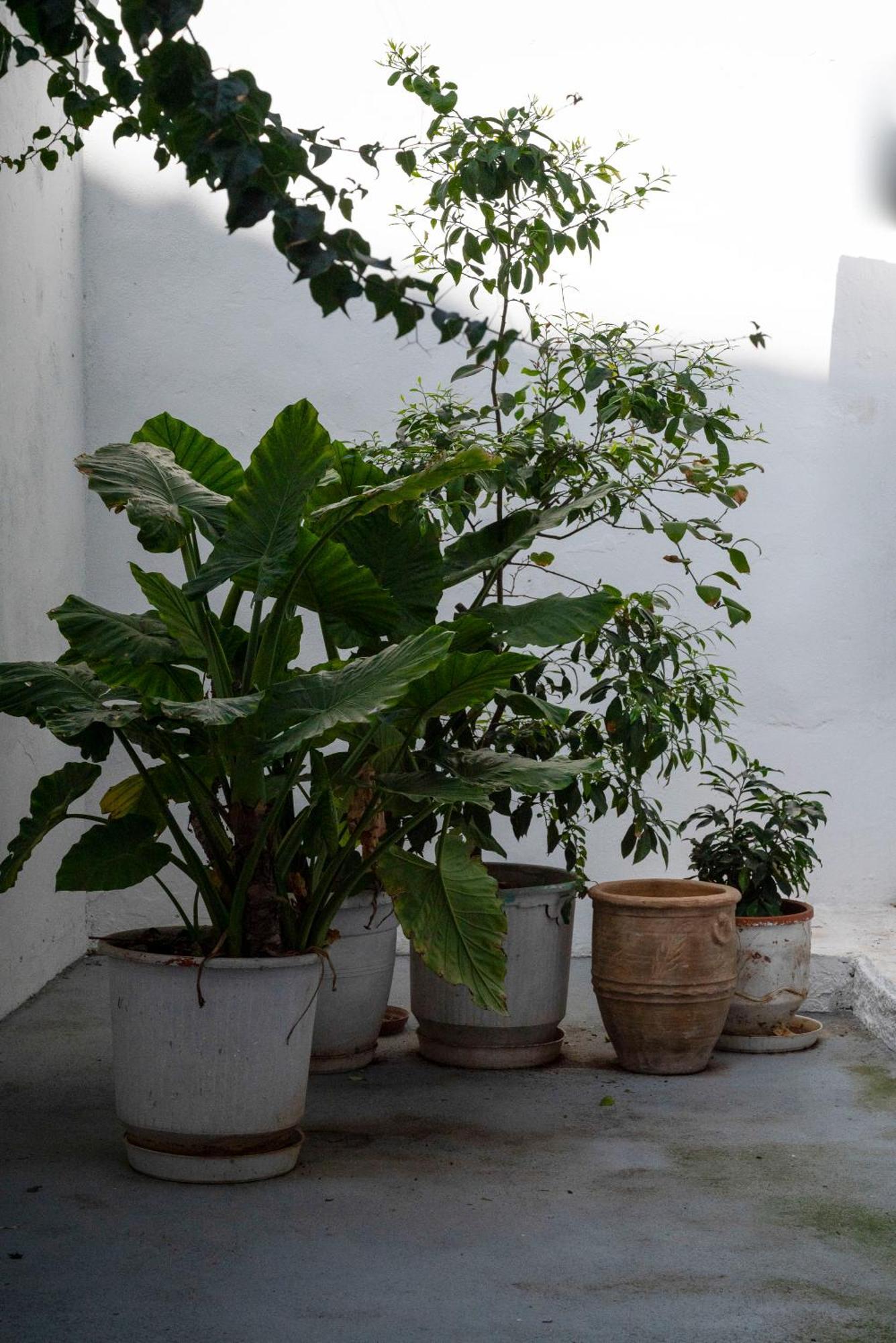 Thissio Getaway 2Ba Next To Athens Ancient Market Екстер'єр фото